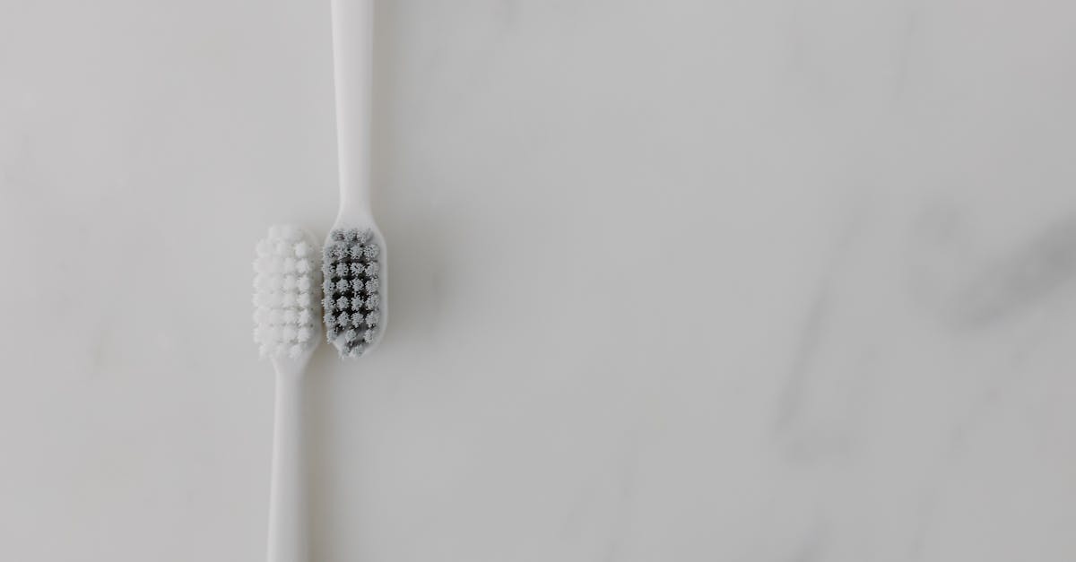 2026 전동칫솔 추천 TOP 5 (음파 vs 회전)